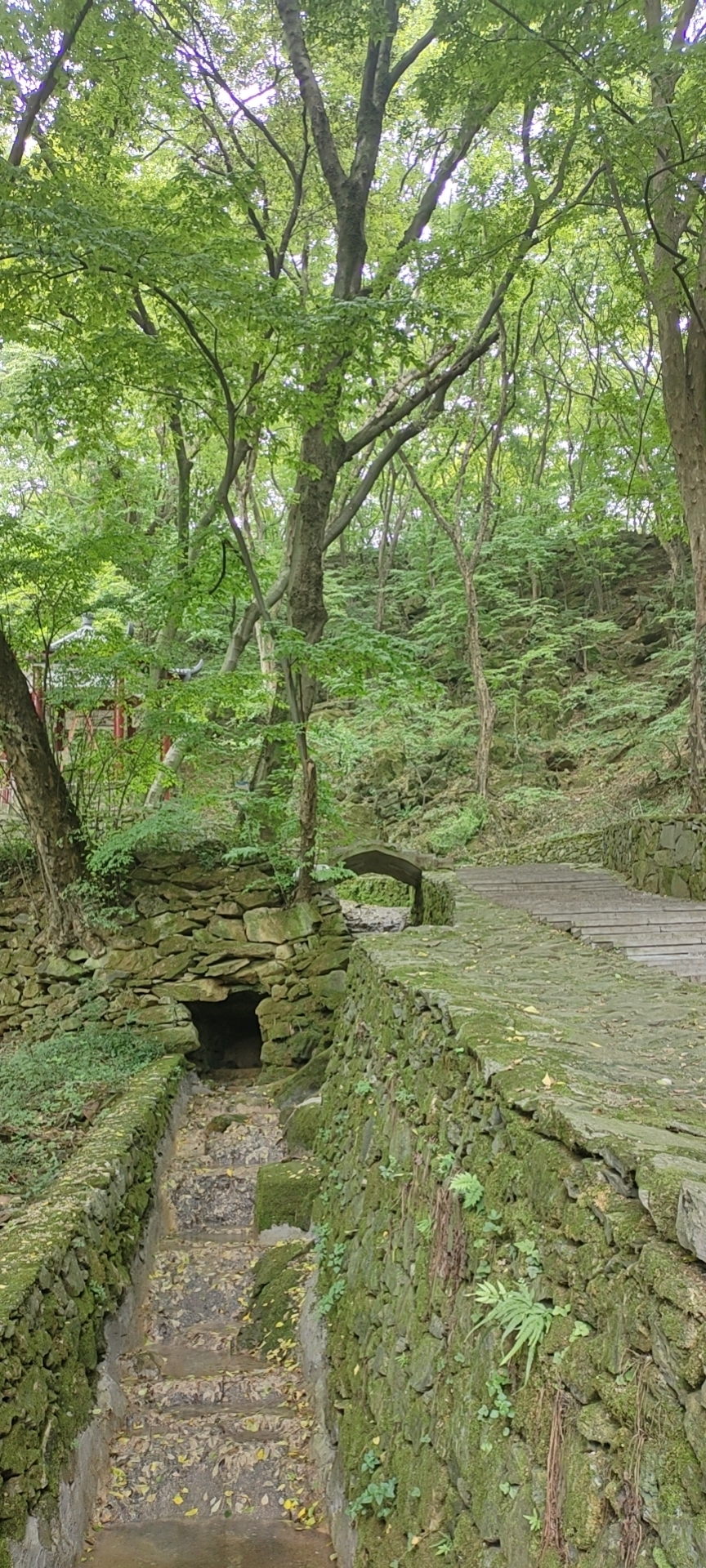 小黄车探访全椒龙山寺