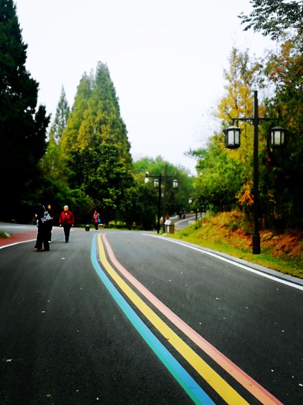 今日得空闲时逛逛滁州彩虹路路面修的很漂亮天气好大家没事可以出来走