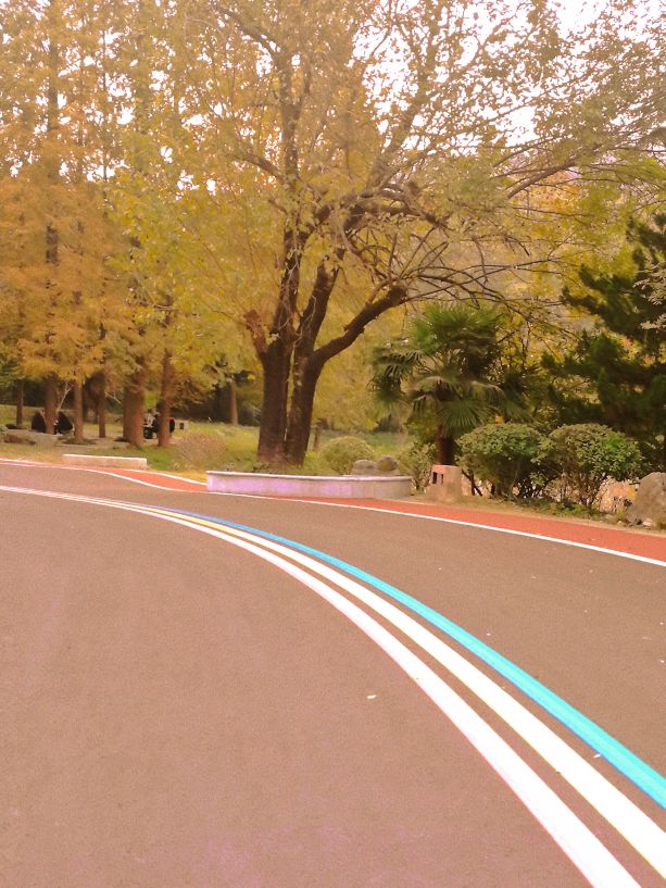 今日得空闲时逛逛滁州彩虹路路面修的很漂亮天气好大家没事可以出来走