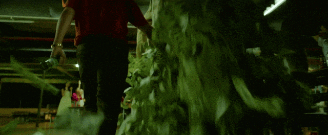 fetch_url (1).gif